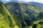 Hiking: Discover a unique rain forest in Bélouve.
