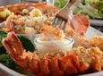 Negombo and Colombo City Tour with Home made Fresh Seafood Lunch