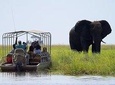 Guided Tour of Victoria Falls & Sunset Cruise Combo
