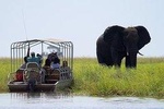 Guided Tour of Victoria Falls & Sunset Cruise Combo