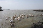 Bahir Dar Tours