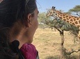 3 days Safari to Tarangire ,Lake Manyara and Ngorongoro crater