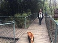 Flexible Chengdu Panda Base Day Tour with Private Guide and Transportation