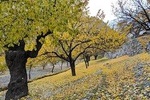 Hunza Autumn Tour