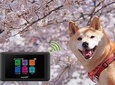 Unlimited WiFi Router Hotspot Haneda Airport 4G LTE plus Free Power Bank