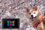 Unlimited WiFi Router Hotspot Haneda Airport 4G LTE plus Free Power Bank