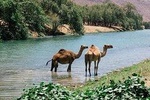 East Jewels of Salalah with Wadi Darbat :Oman Shore excurions