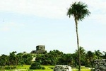 Half-day excursion to Tulum and swim in cenote