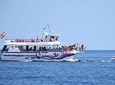 Dolphin Trip