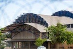 Visit Gospel service with additional Bicycle Tour of Soweto
