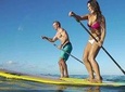 Stand Up Paddling in Dubai