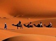 Morocco Desert Tours