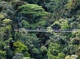 1 day excursion to Hanging Bridges + Thermal Spa in Arenal