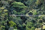 1 day excursion to Hanging Bridges + Thermal Spa in Arenal