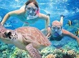 Kauai's Ultimate Guided Shore Snorkeling Adventure