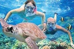 Kauai's Ultimate Guided Shore Snorkeling Adventure