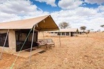 7 Days Tanzania Budget Tented Camps Safari