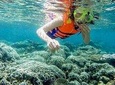 From Mui Ne To Vinh Hy Bay Snorkeling And Fishing Tour | Day Trip 