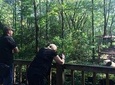 Private Day Tour: Visit Giant Pandas and Discover Shu Culture in Chengdu