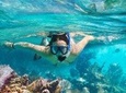 Snorkeling Trip from Muscat