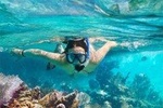 Snorkeling Trip from Muscat