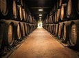 Guided Visit and Tasting at Poças Wine Cellar