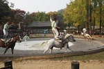UNESCO World Cultural Heritage Site - Suwon Hwaseong Fortress Private day trip