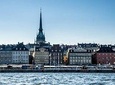 Private Car Tour of Stockholm with a Live guide, including the Vasa museum. 