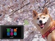 Unlimited WiFi Router Hotspot Narita Airport 4G LTE plus Free Power Bank