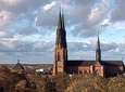 Private Day Tour to Uppsala - Uppsala Cathedral, Viking Burials and countryside