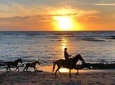 Private tours and transfer Costa Rica