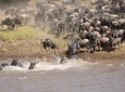 3-Day Maasai Mara Safari at Sopa Lodge from Nairobi
