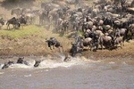3-Day Maasai Mara Safari at Sopa Lodge from Nairobi
