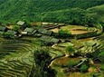 Hill tribe & Rice terraces 2 days 1 night