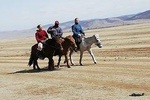 5 Days horseback riding a practical training 'teaching'