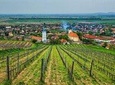 Tokaj Full Day Private Wine Tour from Budapest