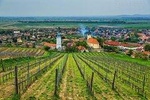 Tokaj Full Day Private Wine Tour from Budapest