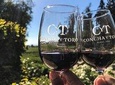 Visit 2 Viniculos with Tasting Included