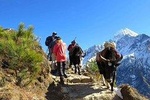Everest Base Camp Trek