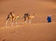2 Days 1 night to Zagora from Marrakech 