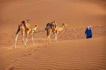 2 Days 1 night to Zagora from Marrakech 