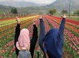 Private 4 Days Kashmir Tour Package