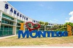  Airport Transfer To Hotels In Ocho Rios (Round-trip)