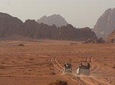 Full Day Desert Tours | Wadi Rum Desert