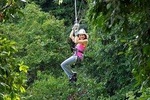 Canopy Zipline & Dunn's River Falls Adventure Tour from Runaway Bay