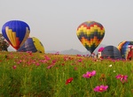 Visit Singha Park, Chiang Rai, Thailand