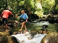 Explore Singharaja Forest Reserve (mirissa/weligama & Galle)