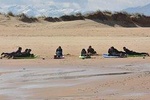 Surf course 2 days