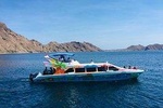 Daily Trip Highlight Komodo Archipelago by Speed Boat