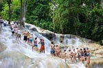 Dunn's River Falls & Jungle River Tubing Adventure Tour from Kingston